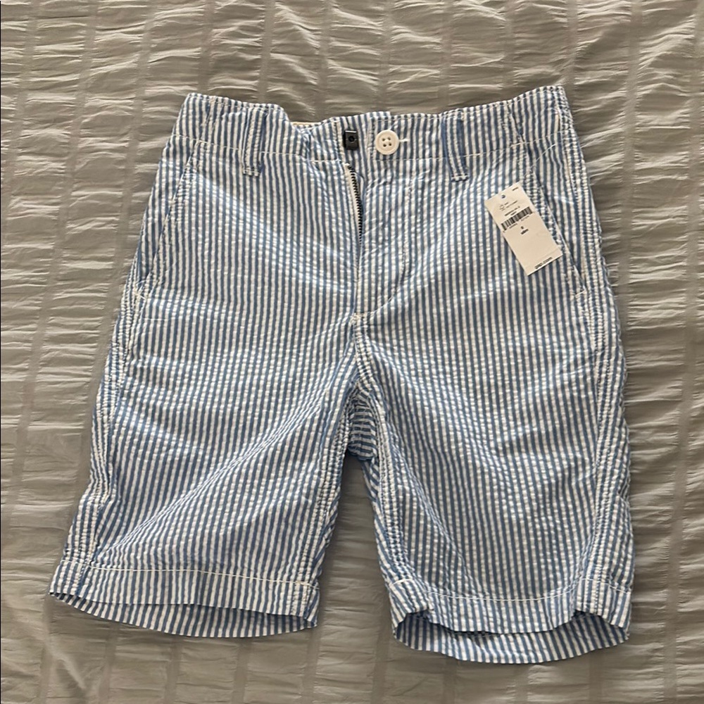 Blue Striped Men's Shorts
